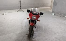 YAMAHA RZ250RR 29L