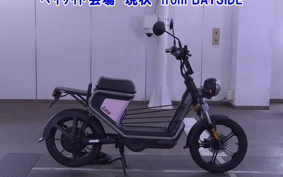 OTHER MINI BIKE