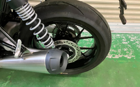 TRIUMPH  TRIUMPH  SPEED  TWIN  2024 DAD85H