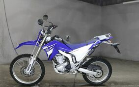 YAMAHA WR250R DG15J