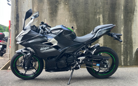 KAWASAKI Ninja 250 ABS EX250P