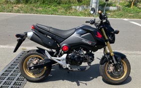 HONDA GROM JC61
