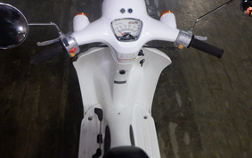 HONDA GIORCUB AF53