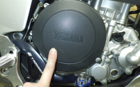 YAMAHA WR250X DG15J