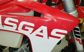 GASGAS EC 250