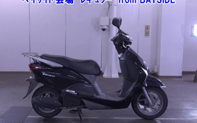 OTHER  LEAD 110EX