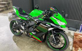 KAWASAKI NINJA ZX 25 R KRT ED ZX250E