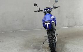 YAMAHA WR250F CELL CG42E