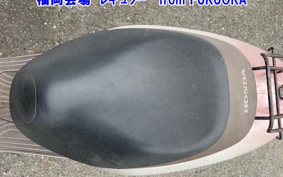 OTHER  DIO CESTA 3