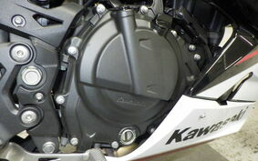 KAWASAKI NINJA 250 EX250P