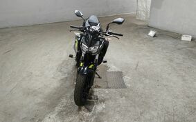 KAWASAKI Z250 EX250P