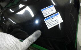 KAWASAKI NINJA 1000 SX 2020 ZXT02K