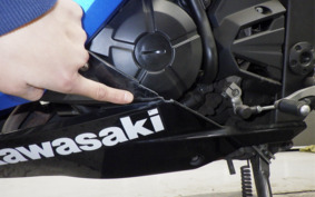 KAWASAKI NINJA 250 EX250L