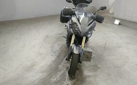 TRIUMPH TIGER 1050 SE 2009 G7465S