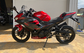 KAWASAKI NINJA 400 2019 EX400G