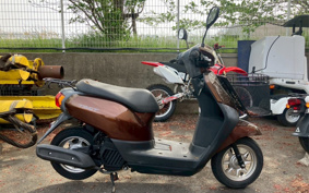 HONDA  TACT  BASIC  AF79
