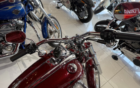 HARLEY  HARLEY FXCWC 2009 JK5