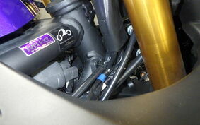 YAMAHA YZF-R25 A RG43J