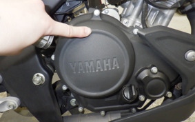 YAMAHA MT-15