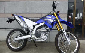 YAMAHA WR250R 2011 DG15J