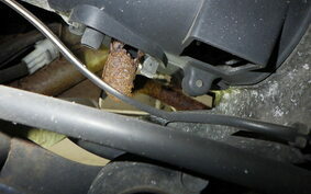 SUZUKI ADDRESS V50 Gen.2 CA44A