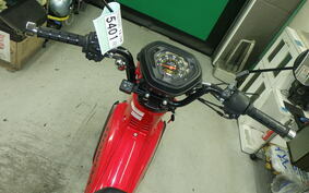 HONDA CROSS CUB 110 JA45