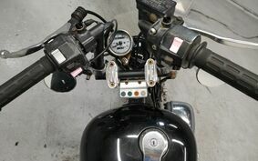 YAMAHA VIRAGO 250 3DM