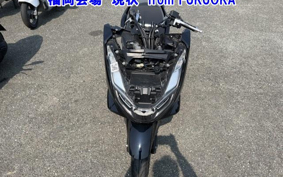 OTHER PCX160