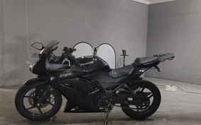 KAWASAKI NINJA250R EX250K