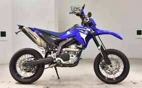 YAMAHA WR250X DG15J