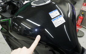 KAWASAKI NINJA 1000 SX 2023 ZXT02K