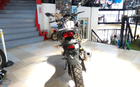 KAWASAKI VERSYS-X 250 ABS LE250D
