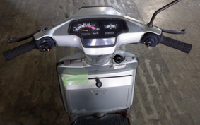 YAMAHA BELUGA 50 5G6