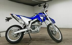 YAMAHA WR250R DG15J