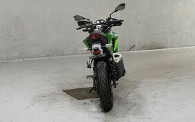 KAWASAKI Z250 SL BR250E