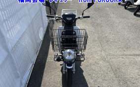 OTHER C110PU LOW 2