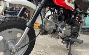 HONDA MONKEY Z50J