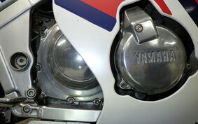 YAMAHA FZR250 2KR