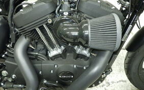 HARLEY XL1200NS 2021