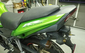 KAWASAKI NINJA150RR KR150P