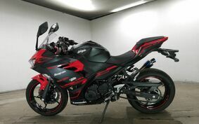 KAWASAKI NINJA 250 EX250P