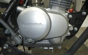 HONDA APE 100 HC07