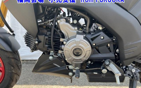 OTHER Z125PRO