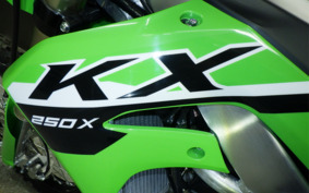 KAWASAKI KX250X KX252D