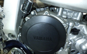 YAMAHA WR250R DG15J