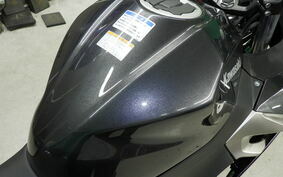 KAWASAKI NINJA 250 EX250P