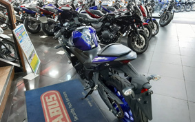 YAMAHA YZF-R25 RG10J