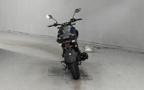 YAMAHA FZ25 不明