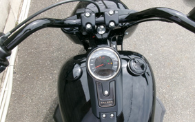 HARLEY  HARLEY FLFBS 30TH ANNIVERSARY  2020 YRK