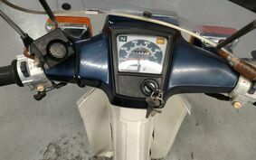 HONDA C90 SUPER CUB Custom HA02